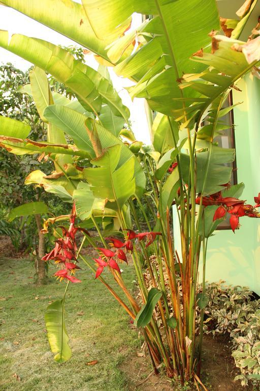 Paan Yong Villa Ban Thi Exterior foto